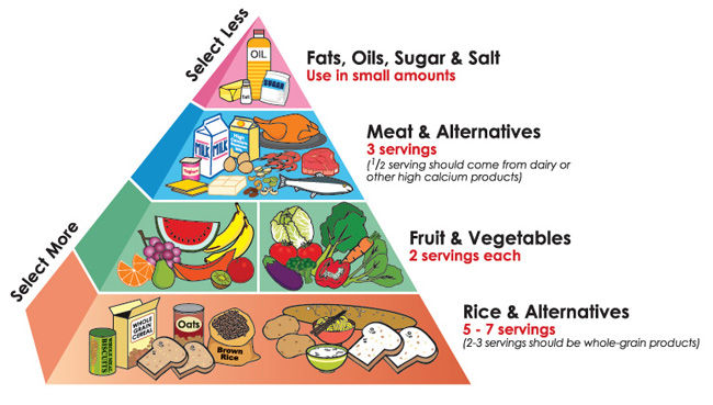 Gesunde Ernährungspyramide Was ist das und wie kann man sie verbessern?